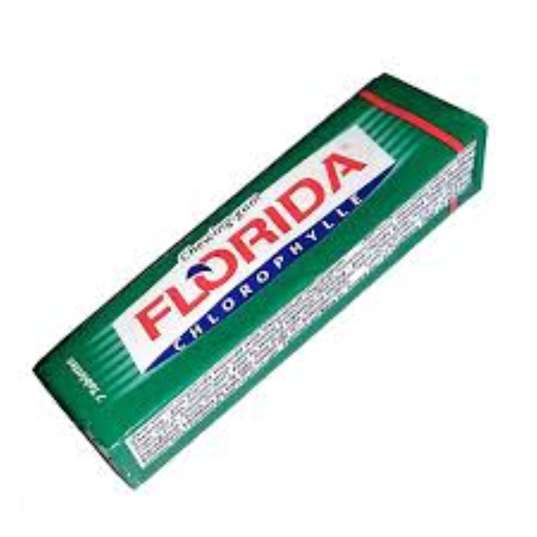 FLORIDA CHLOROPHYLL CHEWING GUM 16G